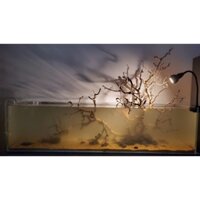 01 Đèn Led Rọi Thuỷ Sinh Biotop - Đèn chiếu điểm cho hồ thủy sinh