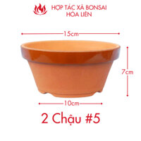 02 cái - Chậu gốm Tokoname Nhật Bản trồng cây bonsai đất nung số #5, đường kính 15cm
