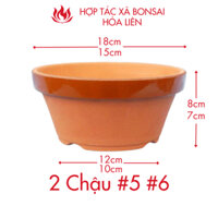 02 Chậu gốm Tokoname Nhật Bản trồng cây bonsai đất nung số #5  #6, đường kính 15cm-18cm, Tokoname Bonsai Pot