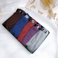 0595 Set quần lót nam boxer cotton 5 cái
