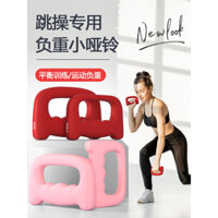 0.5kg tạ cầm tay cho phụ nữ, 1 cặp, tạ tập thể dục tại nhà, tạ nặng trống nhỏ có túi cát