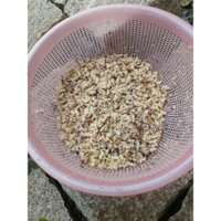 0,5kg trứng kiến vàng tươi(nửa kg)