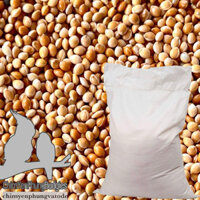 1 bao 25kg Kê bóng vàng (hạt kê vàng) - Thức ăn: Yến Phụng • Sóc • Gà Kiểng • Cu Gáy..