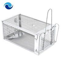 1 Bẫy Chuột Bằng Bạc Hoang Dã