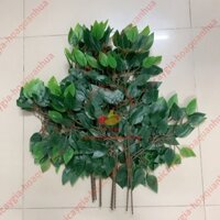 1 BÓ 12 CÀNH Lá Si Giả (cao 60cm rộng 40cm) mô hình Việt Nam công nghệ Thái Lan GIỐNG THẬT 99%- Dùng trang trí