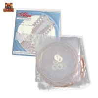 1 Bộ / 12 Dây Thay Thế Đàn Guitar Cho Các Bộ Phận Guitar Acoustic