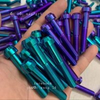 1 bộ 16 con gr5 ốc lốc máy wave nhỏ .. dream.. cup..