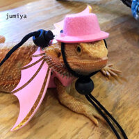 1 Bộ Dây Buộc Rồng Râu Có Mũ Dụng Cụ Lực Kéo Có Thể Điều Chỉnh Râu Dây Xích Rồng Bộ Trang Phục Quần Áo Động Vật Nhỏ