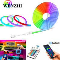 1 Bộ Dây Đèn LED RGB 24 Nút 16 Màu Sắc Neon 220V 1 / 2 / 3 / 4 / 5m Kèm remote Điều Khiển 12V