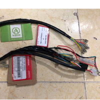1 Bộ Dây điện sườn xe máy Honda Cub 67 Vit Lửa