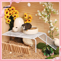 1 Bộ Nền Tảng Cảnh Quan Gà Rutin Giá Lưới Thép Không Gỉ Đồ Dùng Cho Thú Cưng Có Thang Leo Cho Thú Cưng Lồng