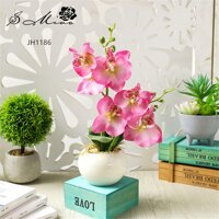 1 Bộ Phalaenopsis Mô Phỏng Cây Cảnh Nhân Tạo Vật Có Hoa + Nồi Sứ Hoa Trang Trí Bộ Nhà Bàn Phòng Ngủ Phụ Kiện