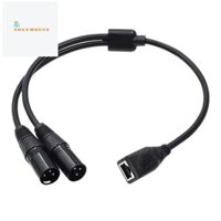 1 Cái Dual 3Pin XLR Nam Sang RJ45 Cáp XLR Kép Cho -CON Bộ Điều Khiển Series Và Ghi Phòng Thay Thế