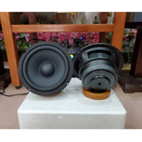 1 Cặp Loa Trung Mid P-8816, Dòng Loa Trung Cao Cấp Làm Loa Trợ Lời