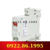 [1] Cầu dao bảo vệ  CP30-BA 1 Pha 1P 2-M B 0.1A, 0.25A, 0.3A, 0.5A, 1A, 2A, 3A, 5A, 7A, 10A, 15A, 20A, 30A giá tốt