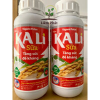 1 chai Kali sữa 500ml của G.A.P giàu năng lượng
