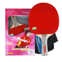 1 chiếc VỢT BÓNG BÀN 729 2010, 2040, 2060 nhà phân phối THỂ THAO 360