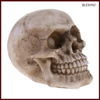 1 Halloween Đầu Lâu Đầu Người Skeleton Mô Hình Đầu Lâu Nhựa Đồ Chơi Quà Tặng Ngày Lễ