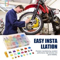 1 Hộp / 300 Chiếc Xe Mini Cầu Chì Bộ 2A 3A 5A 7.5A 10A 15A 20A 25A 30A 35A 40A Cầu Chì Có Kẹp Cho Ô Tô Và Xe Máy