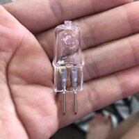 1 hộp bóng đèn halogen điện 220v chuyên thay cho đèn tinh dầu