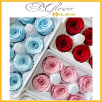 1 hộp Hoa hồng khô bất tử vĩnh cửu không tàn , Hoa  thật sấy khô deco phong cách hiện đại