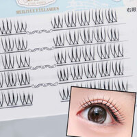 1 Hộp Mô Phỏng Tự Nhiên Hàn Quốc Phân Đoạn Thân Đen Trang Điểm Tốt Nghiệp Lông Mi Giả