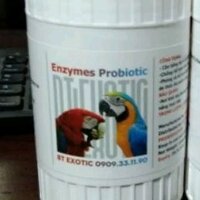 1 hũ men tiêu hóa Enzym Probiotic 100gram (nguyên liệu nhập khẩu Pháp) giúp hỗ trợ tiêu hóa và chim ăn uống ngon hơn