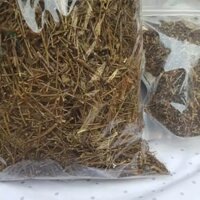 1 Kg 100 Gram Cà Gai Leo. Khang Chính Đường .