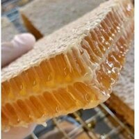 1 KG = 2 HỘP Mật Ong Bánh Tổ Tươi Nguyên Sáp Đóng Hộp 500gr