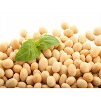 1 kg đậu nành nguyên hạt