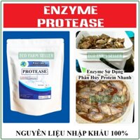 1 kg Enzyme Phân Giải Protein - Enzyme Protease Ủ Phân Cá - Đậu Nành - Bánh Dầu