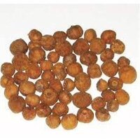 1 KG hạt giống Cây Gia Tỵ Cây tếch hay còn gọi là cây báng súng, trồng lấy gỗ - Giống Nhập khẩu cho quả quanh năm -