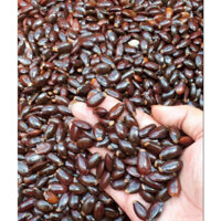 1 KG hạt giống CÂY Mãng Cầu Xiêm THÁI LAN, Mãng Cầu Gai. [ FREESHIP EXTRA + ] [ GHN)