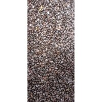 1 kg Hạt giống KEO LÁ TRÀM [ Bao nảy mầm - HẠT GIỐNG TRÀM BÔNG VÀNG ]