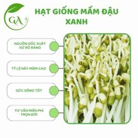 1 Kg Hạt Giống Mầm Đậu Xanh (Giá Đỗ) Dễ Trồng