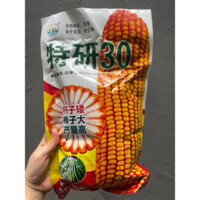 1 Kg Hạt Giống Ngô Sinh Khối Thế hệ Lai 30 NK - Năng Suất Cao - Nảy mầm 98%