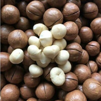 1 KG- Hạt macca nứt vỏ