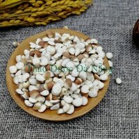 1 Kg Khiếm Thực ( Khiếm Thiệt ) hoàng lọa 1 to, đều, đẹp. Khang Chính Đường .