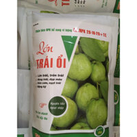 1 Kg Phân bón CHUYÊN CÂY ỔI lớn trái nhanh, ngọt trái, giòn cơm, nặng ký, bóng đẹp trái hiệu quả
