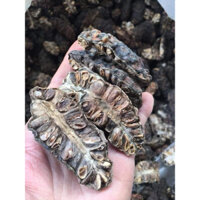 1 Kg Quả nhàu khô hàng chọn,mới,thơm,sạch già quả,nguyên chất