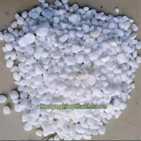 1 kg sỏi trắng trang trí tiểu cảnh loại bé