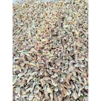 1 kg TRÂU CỔ KHÔ kèm 10 bổ củi