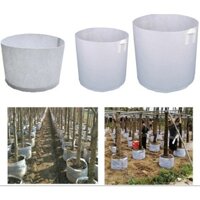 1 Kg TÚI VẢI TRỒNG CÂY Hàng Việt Nam - 2 quai - cỡ to