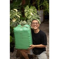 1 kiện dừa 1-2cm (ĐÃ XỬ LÍ) dùng để trồng cây, trộn giá thể, lót chậu,...