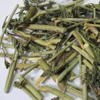 1 ký cây xương khỉ - bìm bịp phơi khô