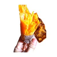 1 ký khoai lang mật loại lớn để nướng