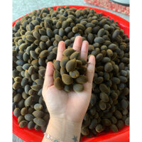 1 Ký Trái Xay Tươi ngọt nhiều hơn chua bột nhiều (bao tươi)