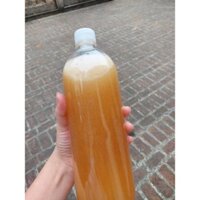 1 LIT MẬT ONG KHOÁI