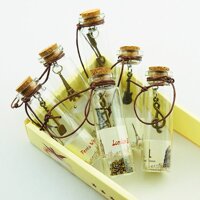 1 Lọ Điều Ước Thuỷ Tinh Phong Cách Cổ Điển Retro Trang Trí Quà Tặng Ý Nghĩa