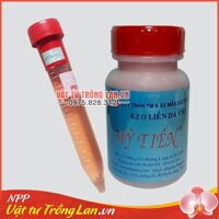 1 lọ Keiki Duy Pro + 1 lọ keo liền da cây Mỹ Tiến 100g